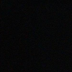 Meet your Posher, Sophia